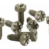 Ford Racing 4.6L Manual Flywheel Bolts