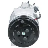 BV PSH 090.165.025.000 Aircopomp