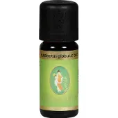 Primavera Eucalyptus globulus bio