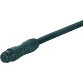 Binder 77-7406-0000-50008-0 Serie 620 | 8 Polige Female Connector | PUR Kabel | 2 meter