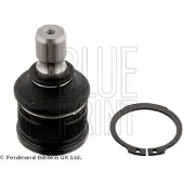 Blue Print ADBP860067 Fuseekogel