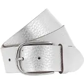 Vanzetti Riem zilver