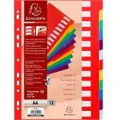 Exacompta 4912E schutkaart Meerkleurig