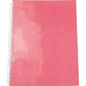 Elco Collegeblok A4 Geruit Met spiraal aan zijkant Karton Zachte kaft Rood Geperforeerd 80 pagina's Pak van 2