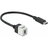 DeLOCK USB-C Keystone module - USB-C (m) | USB3.0 5 Gbps | wit | 0,25 meter
