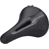 Terry Gt Dameszadel