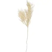 PT Living Kunstplant Asparagus Fern Stem White