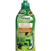Bsi Top Resist Buxus En Hagen Tegen Buxusmot