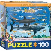 Eurographics Haaien puzzel, 100 stukjes, Eurographics, geschikt voor kinderen vanaf 5 jaar