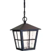Elstead Lighting LED Buiten Hanglamp Canterbury | 1X E27 Max 60W | Dimbaar | Black
