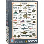 Eurographics Puzzel eurograpics sea fish 1000 stukjes