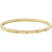 Fossil Armband goud / transparant