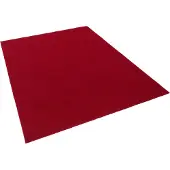 Snapstyle Vloerkleed Kunstmatige Grasmat met Puistjes Kingston