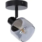 Lucide Bjorn Plafondspot Black | 1 Light