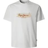 Pepe Jeans Shirt 'PICTHON'