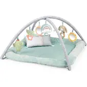 Ingenuity Baby activity gym pluche - - vanaf 0 maanden