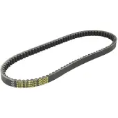 DAYCO V-snaar, Variomatik 8231K