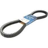 DAYCO XTX1006 CVT-aandrijfriem