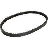 Athena S41plat083 Sym Hd Evo 125cc Transmissie Riem