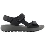 Ara 11-21506 piero