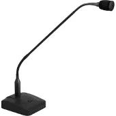 Azusa D-30 microfoon (LEC-MIK0021-1), Microfoon