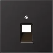 JUNG Inzetplaat Schakelmateriaal - AL2969-1UAD