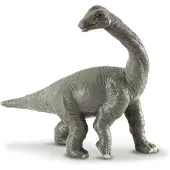 Collecta Figurine - Brachiosaurus Baby - (S) - Prehistorie - Handgeschilderd - Dinosaurus - Miniatuur