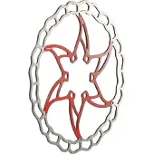 Ashima ARO 09 Schijfrem Rood || Maat: 180 mm