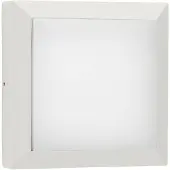 Albert Vierkante led buitenlamp Parel 32cm-wit