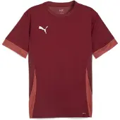 Puma Trainingsshirt teamGOAL - Bordeaux/Wit