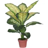 Buitengewoon Boet Kunst Dieffenbachia Dotied - 105 cm