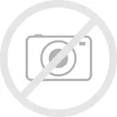 Honeywell 318-046-032 / 318-046-031 accu (3.7 V, 20Wh, 5200 mAh, origineel)