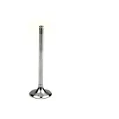 Athena VE-210202S Uitlaatklep