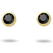 The Jewelry Collection Geelgouden Oorknoppen zirkonia 4023640