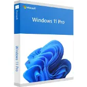 Microsoft Windows 11 Pro 64 Bit DVD OEM NL