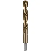 RUKO 2005170 DIN 338 Typ N HSSE-Co 5 Spiraalboor 17 mm Gezamenlijke lengte 184 mm Kobalt DIN 338 Cilinderschacht 1 stuk(s)