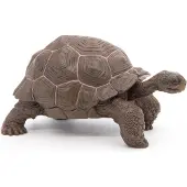 Papo Olifantschilpadden - H: 5 cm - - OneSize - Speelgoeddieren