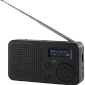 Imperial Collection Imperial DAB+/FM-radio met houtlook, Bluetooth en powerbank, model DABMAN 30, zwart