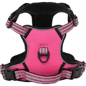 vidaXL Hondentuigje met riem en halsband verstelbaar L roze