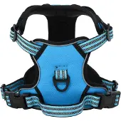 vidaXL Hondentuigje met riem en halsband verstelbaar XL blauw