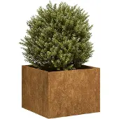 vidaXL Plantenbak roestig 40x40x30 cm weervast staal