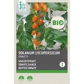 Intratuin Biologisch Groentezaden Snacktomaat (Solanum Lycopersicum 'Ormata')