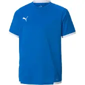 Puma Functioneel shirt 'TeamLiga'