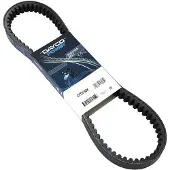 DAYCO 8198K V-snaar, Variomatik