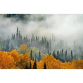 Karo-art 368cm X 280cm - Fotobehang - Mist in herfstbos, premium print, inclusief behanglijm