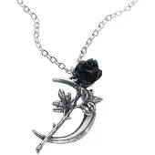 Alchemy Gothic - Gothic Halsketting - New Romance - voor Vrouwen - zilverkleurig - Maat Standard