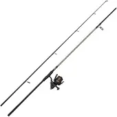Mitchell Catch Pro Ii Carpfishing Combo Zilver 3.00 m / 3 Lbs