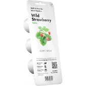 Click & Grow Smart Garden Navulling Strawberry 3-Pack