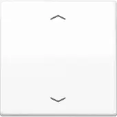 JUNG LB-Management proefmodel, 1-voudig, met pijlsymbolen, Duroplast, serie AS, alpinweiß, 1 stuk.
