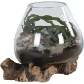 Ebuy24 Decoratief object San Marino | Teakhout en Glas